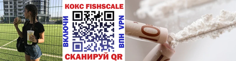 Кокаин FishScale  где купить   Кингисепп 