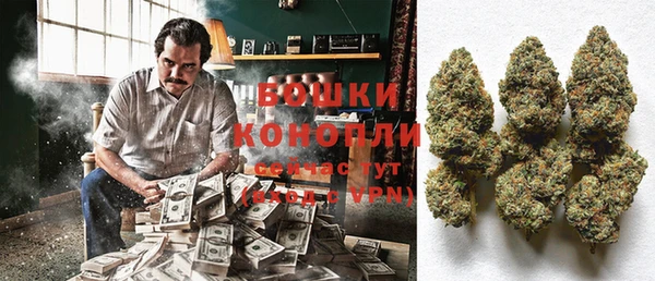 spice Алексеевка