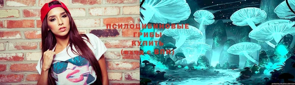ПСИЛОЦИБИНОВЫЕ ГРИБЫ Алексин