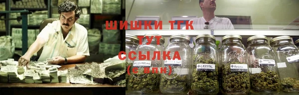 гашик Новокубанск
