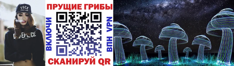 Галлюциногенные грибы Cubensis  где найти наркотики  Кингисепп 